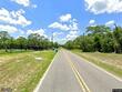 0 richardson blvd lot 1, webster,  FL 33597