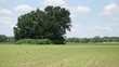 5083 cr 377, caldwell,  TX 77836