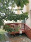  mill creek,  WA 98012