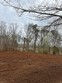 247 preston heights cemetery rd, quebeck,  TN 38579