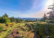 14820 taggart quarry road, anacortes,  WA 98221