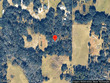  bushnell,  FL 33513