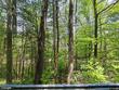 285 larryville rd, jersey shore,  PA 17740