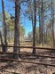 4190 judge rd, gloster,  MS 39638