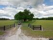 3815 se 25th st, bushnell,  FL 33513