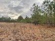 lot 8 sumrall rd., columbia,  MS 39429