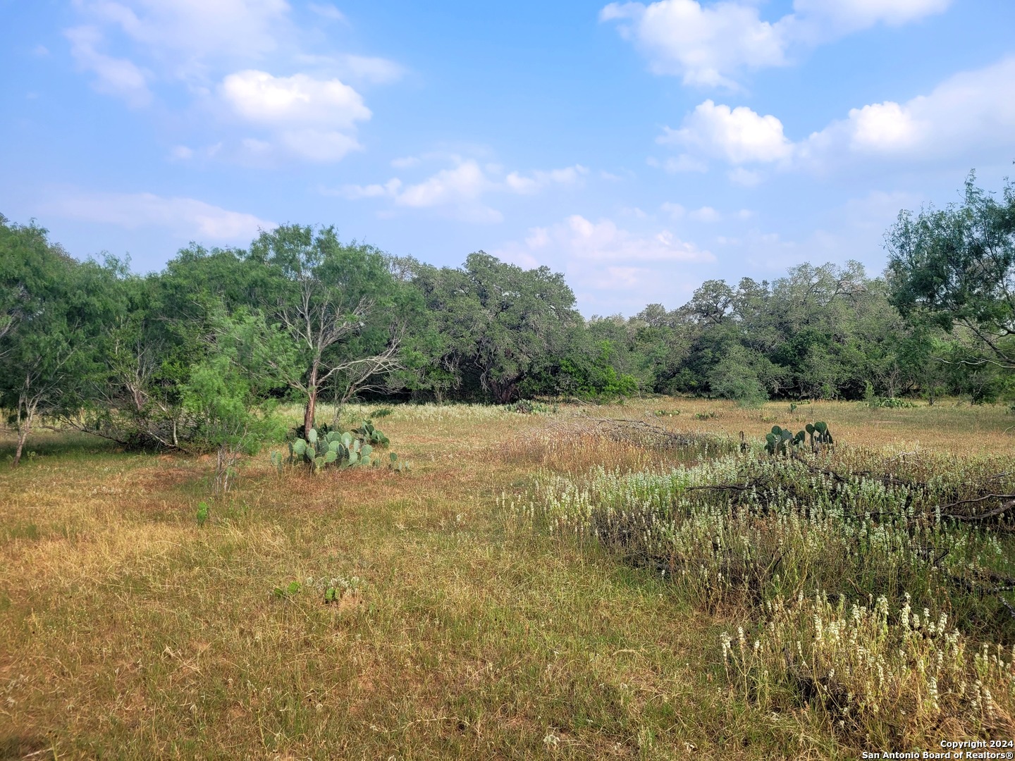 lot 1 of 7 bar r lane, floresville,  TX 78114