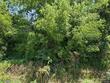 19607 fightmaster rd, trimble,  MO 64492
