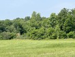 2.4 acres jericho acres, russell springs,  KY 42642