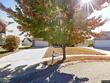 9205 n holmes ct, kansas city,  MO 64155
