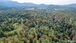taylor road, mount vernon,  WA 98273