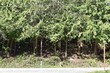0 rainbow drive unit nhn, glenhaven,  WA 98284