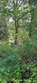0 north shore drive, concrete,  WA 98237