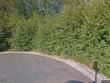 207 mansfield ct, anacortes,  WA 98221