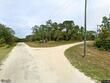 teakwood drive, webster,  FL 33597