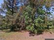 5250 manor hill rd, petersburg,  PA 16669