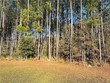 lot 25 founders oak way, yemassee,  SC 29945