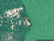 111 wills dr, rincon,  GA 31326
