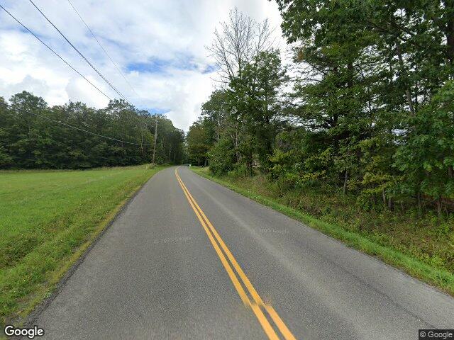  willet,  NY 13863