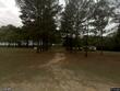 1441 county road 348, midland city,  AL 36350