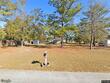 203 saddlehorn ln, guyton,  GA 31312