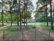 1424 midland michigan dr, midland city,  AL 36350